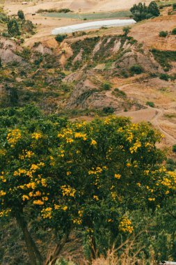 Villa de Leyva, Boyaca, Kolombiya 'ya giden çöl manzarası yolu..