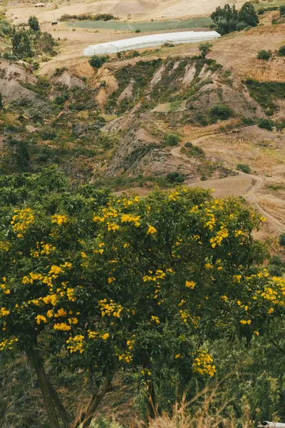 Villa de Leyva, Boyaca, Kolombiya 'ya giden çöl manzarası yolu..