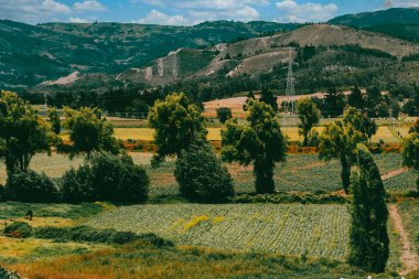 Sacama, Boyaca, Kolombiya 'daki tarım ürünlerinin manzarası.