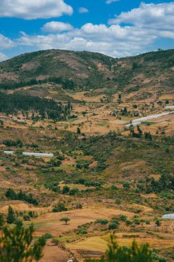Villa de Leyva, Boyaca, Kolombiya 'ya giden çöl manzarası yolu..