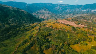Cerro tusa 'nın mavi gökyüzü manzarası. Venedik Belediyesi' nin manzarası. Piramit şekliyle dünyada eşi benzeri olmayan bir dağ olan Cerro Tusa tarafından yönetiliyor. Venedik, Antioquia, Kolombiya.