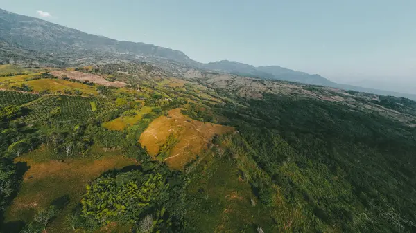 Cerro tusa 'nın mavi gökyüzü manzarası. Venedik Belediyesi' nin manzarası. Piramit şekliyle dünyada eşi benzeri olmayan bir dağ olan Cerro Tusa tarafından yönetiliyor. Venedik, Antioquia, Kolombiya.