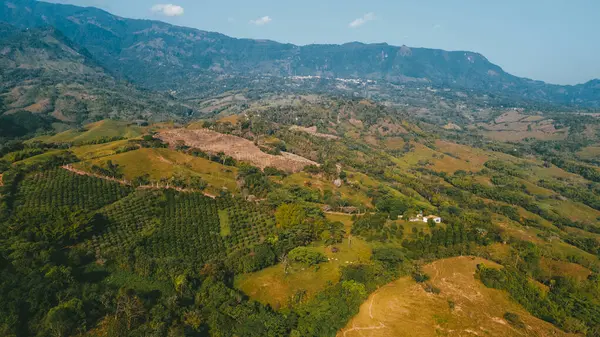 Cerro tusa 'nın mavi gökyüzü manzarası. Venedik Belediyesi' nin manzarası. Piramit şekliyle dünyada eşi benzeri olmayan bir dağ olan Cerro Tusa tarafından yönetiliyor. Venedik, Antioquia, Kolombiya.