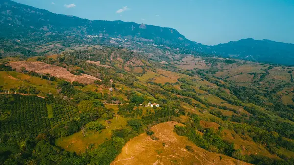 Cerro tusa 'nın mavi gökyüzü manzarası. Venedik Belediyesi' nin manzarası. Piramit şekliyle dünyada eşi benzeri olmayan bir dağ olan Cerro Tusa tarafından yönetiliyor. Venedik, Antioquia, Kolombiya.