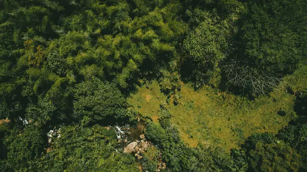 Tamesis, Antioquia, Kolombiya 'da hava fotoğrafçılığı.