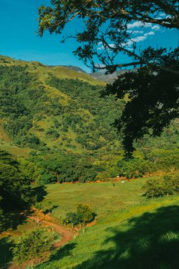 Tamesis 'teki panoramik manzara. Mavi gökyüzü ve ufukta dağ var. Kolombiya. 