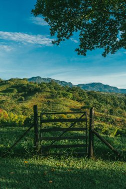 Tamesis 'teki panoramik manzara. Mavi gökyüzü ve ufukta dağ var. Kolombiya. 