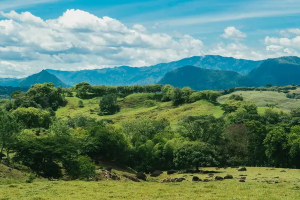 Tamesis 'teki panoramik manzara. Mavi gökyüzü ve ufukta dağ var. Kolombiya. 