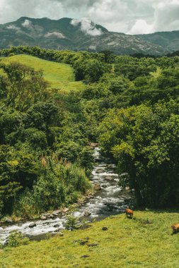 Cartama nehri ve dağlarıyla doğal manzara. Tamesis, Antioquia, Kolombiya.