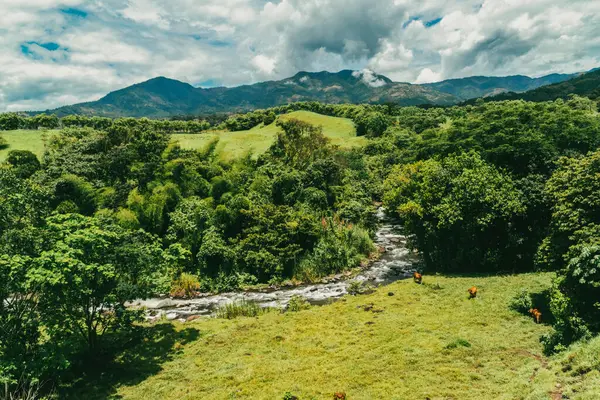 Cartama nehri ve dağlarıyla doğal manzara. Tamesis, Antioquia, Kolombiya.