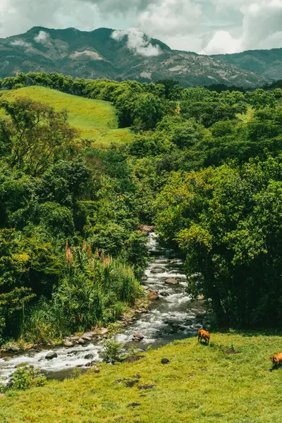 Cartama nehri ve dağlarıyla doğal manzara. Tamesis, Antioquia, Kolombiya.