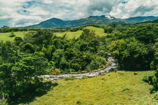 Cartama nehri ve dağlarıyla doğal manzara. Tamesis, Antioquia, Kolombiya.