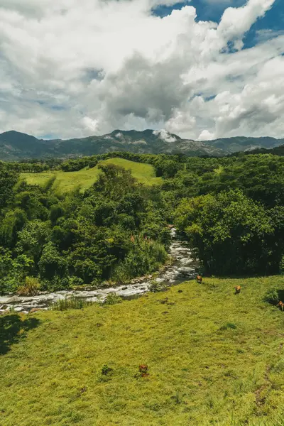 Cartama nehri ve dağlarıyla doğal manzara. Tamesis, Antioquia, Kolombiya.