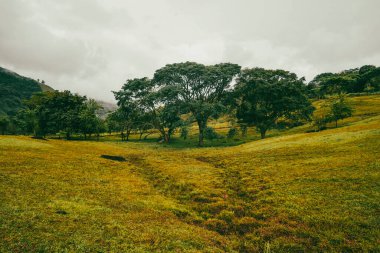 Cartama nehri ve dağlarıyla doğal manzara. Tamesis, Antioquia, Kolombiya.