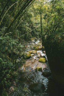 Cartama nehri ve dağlarıyla doğal manzara. Tamesis, Antioquia, Kolombiya.