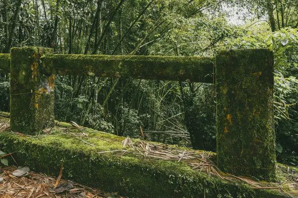 Cartama nehri ve dağlarıyla doğal manzara. Tamesis, Antioquia, Kolombiya.