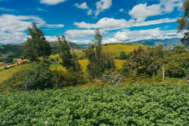 Nemocon, Cundinamarca 'da mavi gökyüzü olan panoramik ve kırsal alan.
