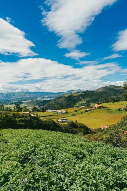 Nemocon, Cundinamarca 'da mavi gökyüzü olan panoramik ve kırsal alan.