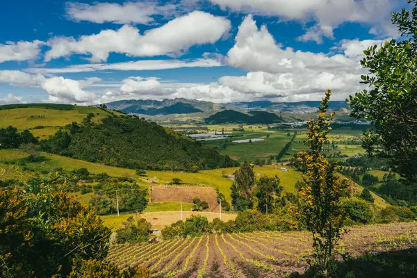 Nemocon, Cundinamarca 'da mavi gökyüzü olan panoramik ve kırsal alan.