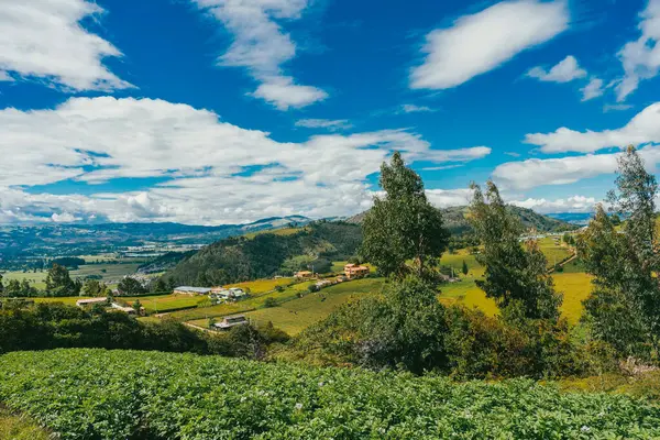 Nemocon, Cundinamarca 'da mavi gökyüzü olan panoramik ve kırsal alan.