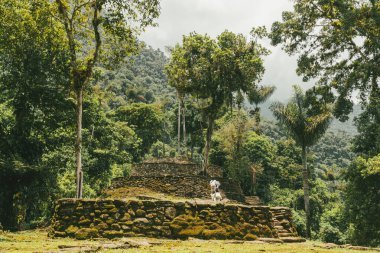 Tayrona Ulusal Parkı 'ndaki Kayıp Şehir' in doğal manzaraları. Santa Marta Magdalena, Kolombiya.