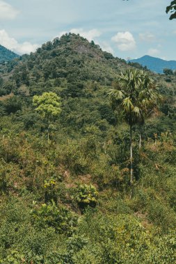 Tayrona Ulusal Parkı 'ndaki Kayıp Şehir' in doğal manzaraları. Santa Marta Magdalena, Kolombiya.
