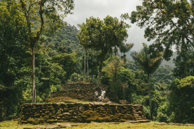 Tayrona Ulusal Parkı 'ndaki Kayıp Şehir' in doğal manzaraları. Santa Marta Magdalena, Kolombiya.
