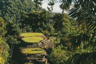 Tayrona Ulusal Parkı 'ndaki Kayıp Şehir' in doğal manzaraları. Santa Marta Magdalena, Kolombiya.