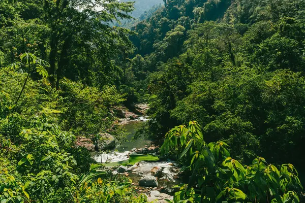 Tayrona Ulusal Parkı 'ndaki Kayıp Şehir' in doğal manzaraları. Santa Marta Magdalena, Kolombiya.