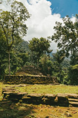 Tayrona Ulusal Parkı 'ndaki Kayıp Şehir' in doğal manzaraları. Santa Marta Magdalena, Kolombiya.