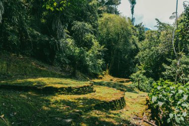 Tayrona Ulusal Parkı 'ndaki Kayıp Şehir' in doğal manzaraları. Santa Marta Magdalena, Kolombiya.