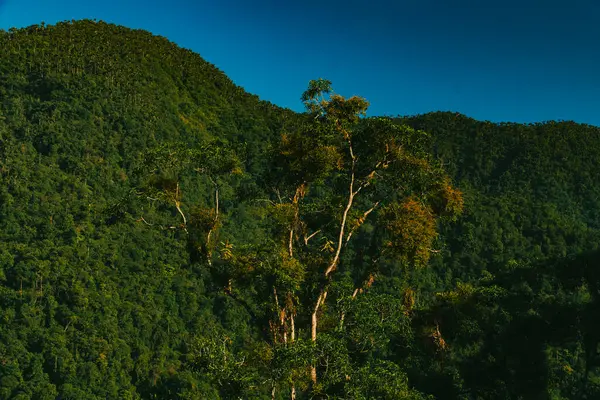 Tayrona Ulusal Parkı 'ndaki Kayıp Şehir' in doğal manzaraları. Santa Marta Magdalena, Kolombiya.