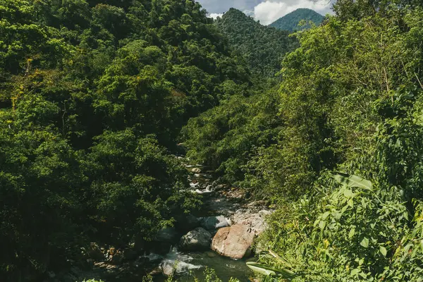 Tayrona Ulusal Parkı 'ndaki Kayıp Şehir' in doğal manzaraları. Santa Marta Magdalena, Kolombiya.
