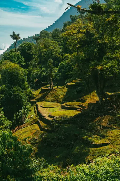 Tayrona Ulusal Parkı 'ndaki Kayıp Şehir' in doğal manzaraları. Santa Marta Magdalena, Kolombiya.