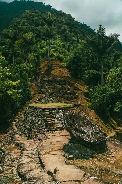 Tayrona Ulusal Parkı 'ndaki Kayıp Şehir' in doğal manzaraları. Santa Marta Magdalena, Kolombiya.