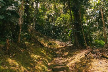 Tayrona Ulusal Parkı 'ndaki Kayıp Şehir' in doğal manzaraları. Santa Marta Magdalena, Kolombiya.