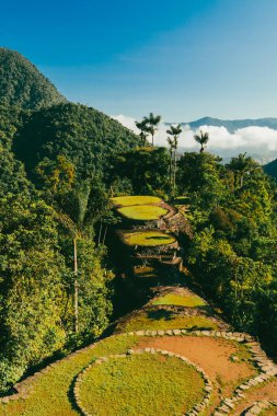 Tayrona Ulusal Parkı 'ndaki Kayıp Şehir' in doğal manzaraları. Santa Marta Magdalena, Kolombiya.
