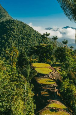 Tayrona Ulusal Parkı 'ndaki Kayıp Şehir' in doğal manzaraları. Santa Marta Magdalena, Kolombiya.