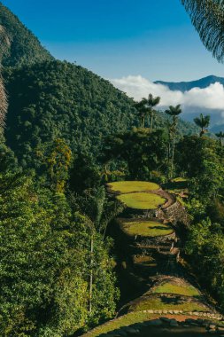 Tayrona Ulusal Parkı 'ndaki Kayıp Şehir' in doğal manzaraları. Santa Marta Magdalena, Kolombiya.