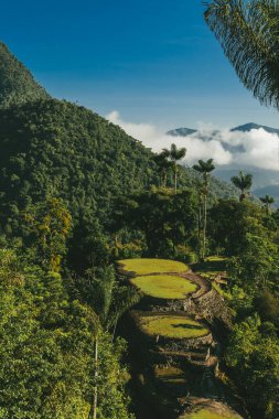 Tayrona Ulusal Parkı 'ndaki Kayıp Şehir' in doğal manzaraları. Santa Marta Magdalena, Kolombiya.