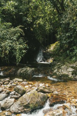 Tayrona Ulusal Parkı 'ndaki Kayıp Şehir' in doğal manzaraları. Santa Marta Magdalena, Kolombiya.