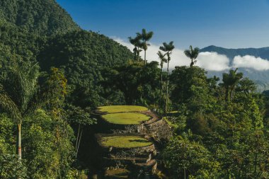 Tayrona Ulusal Parkı 'ndaki Kayıp Şehir' in doğal manzaraları. Santa Marta Magdalena, Kolombiya.