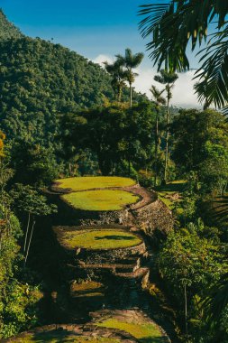 Tayrona Ulusal Parkı 'ndaki Kayıp Şehir' in doğal manzaraları. Santa Marta Magdalena, Kolombiya.