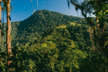 Tayrona Ulusal Parkı 'ndaki Kayıp Şehir' in doğal manzaraları. Santa Marta Magdalena, Kolombiya.