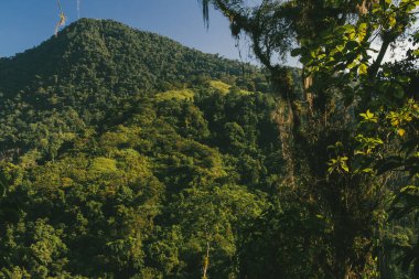 Tayrona Ulusal Parkı 'ndaki Kayıp Şehir' in doğal manzaraları. Santa Marta Magdalena, Kolombiya.