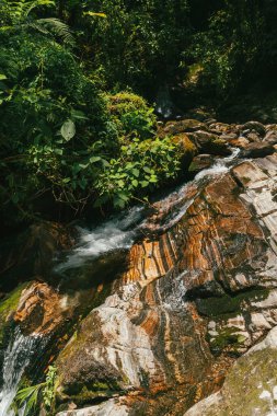 Tayrona Ulusal Parkı 'ndaki Kayıp Şehir' in doğal manzaraları. Santa Marta Magdalena, Kolombiya.