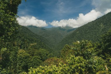 Tayrona Ulusal Parkı 'ndaki Kayıp Şehir' in doğal manzaraları. Santa Marta Magdalena, Kolombiya.