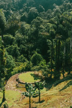 Tayrona Ulusal Parkı 'ndaki Kayıp Şehir' in doğal manzaraları. Santa Marta Magdalena, Kolombiya.