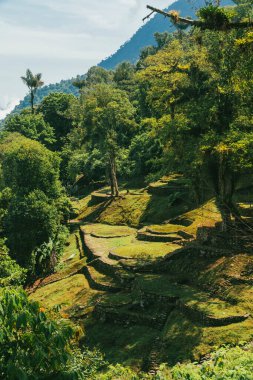 Tayrona Ulusal Parkı 'ndaki Kayıp Şehir' in doğal manzaraları. Santa Marta Magdalena, Kolombiya.