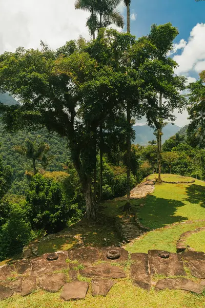 Tayrona Ulusal Parkı 'ndaki Kayıp Şehir' in doğal manzaraları. Santa Marta Magdalena, Kolombiya.